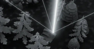 Starlink's New "Beam Switching" Tech Means You Can Stop Worrying About Trees - OrbiMars
